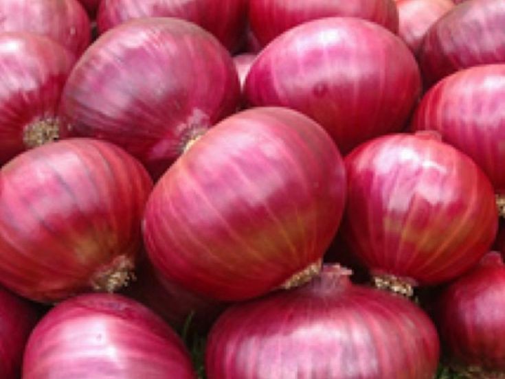 Onions 1kg