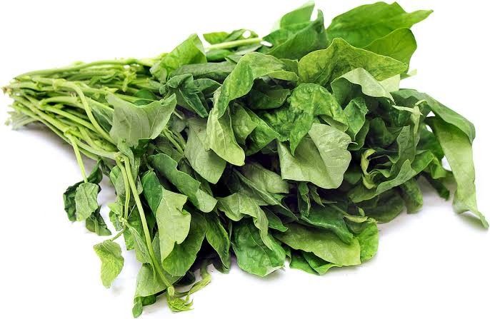 Kunde 1bunch